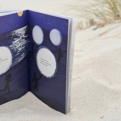 Tempo de Haikus | Akiara Books