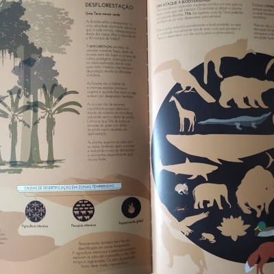 Biblioteca do Conhecimento 5: Terra | Lilliput