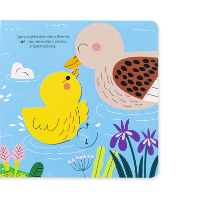 Ajuda a Natureza - Os Patos | Edicare