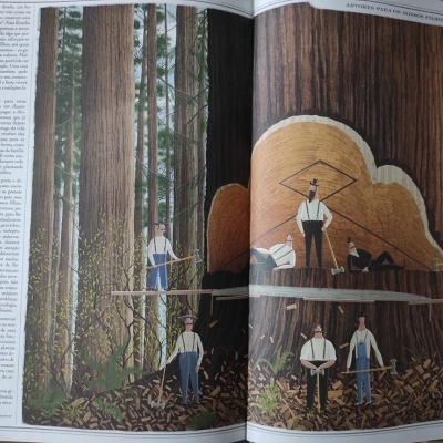 Árvores | Dinalivro