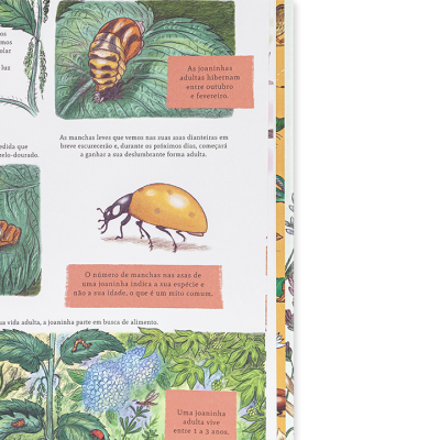 Com Olhos de Ver | Edicare