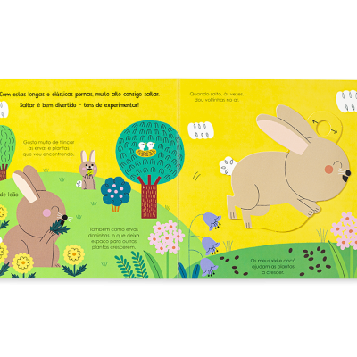 Ajuda a Natureza - Os Coelhos | Edicare