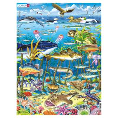 Puzzle Vida Marinha no Atlântico Norte [60 peças] | Larsen
