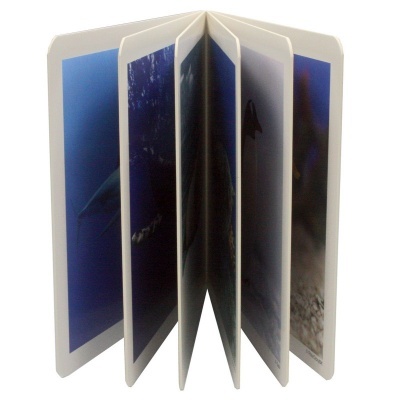 Animais Marinhos | Nowordbooks