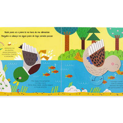 Ajuda a Natureza - Os Patos | Edicare