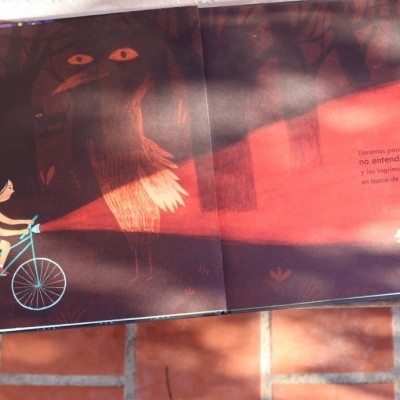 Porque choramos? | Akiara Books