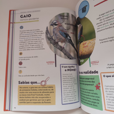 O Meu Guia de Aves | Booksmile