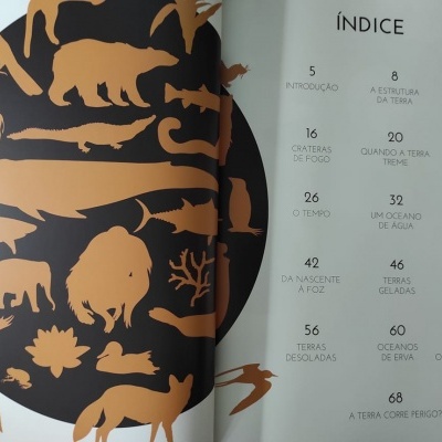 Biblioteca do Conhecimento 5: Terra | Lilliput