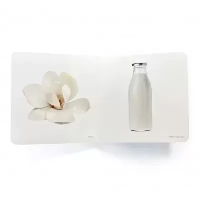 Branco | Nowordbooks