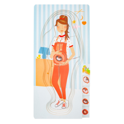 Puzzle do Corpo Humano: Gravidez | Small Foot