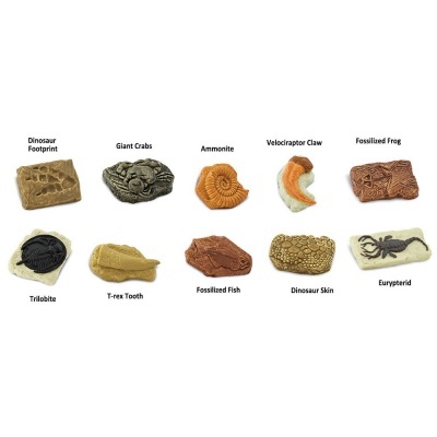 Toob Fósseis | Safari Ltd