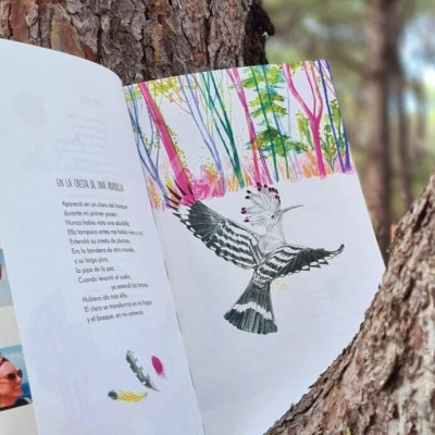 Uma Quinta | Akiara Books