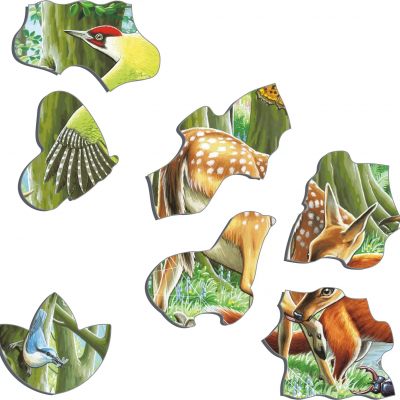 Puzzle Floresta Europeia [40 peças] | Larsen