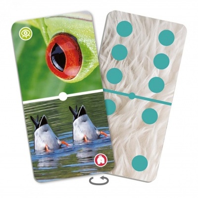 Dominó: Ampliação dos Animais | Akros