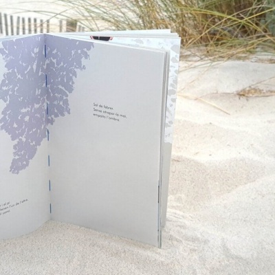 Tempo de Haikus | Akiara Books