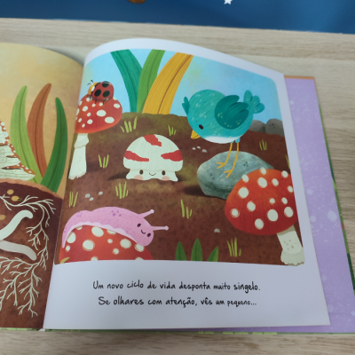 Ciclos da Natureza 8: A Viagem do Cogumelo | Booksmile