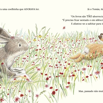 Ilustração de duas coelhinhas a ler e a brincar num campo de flores com texto em português