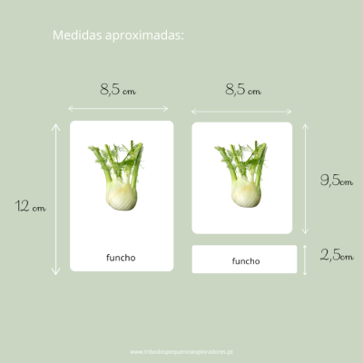 Cartões de 3 partes: Vegetais e Verduras