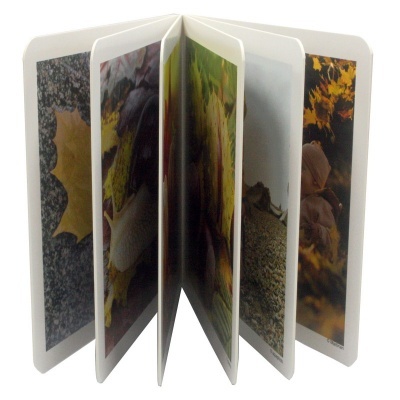 Outono | Nowordbooks