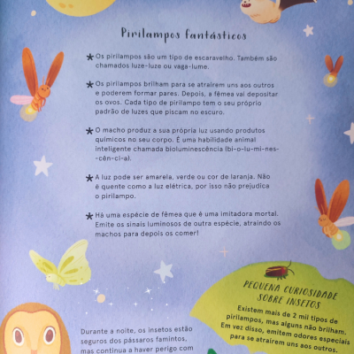 A Vida Secreta dos Insetos | Jacarandá