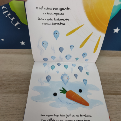 Ciclos da Natureza 7: A Viagem do Floco de Neve | Booksmile