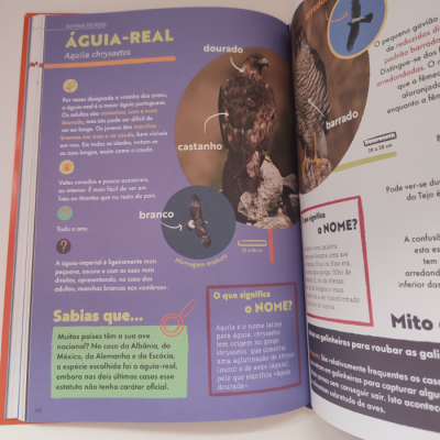 O Meu Guia de Aves | Booksmile