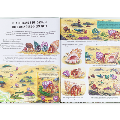 Com Olhos de Ver | Edicare