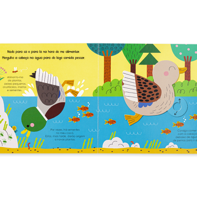 Ajuda a Natureza - Os Patos | Edicare