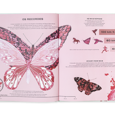Borboletas - Vida Secreta | Edicare
