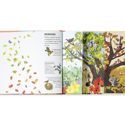 Estações | Edicare