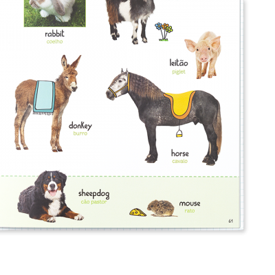 Já sei Inglês! Dicionário por Imagens | Edicare