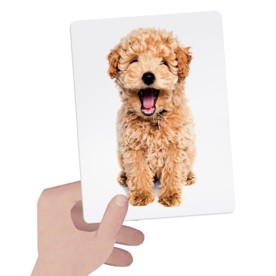 Flashcards Tactile Montessori | Headu