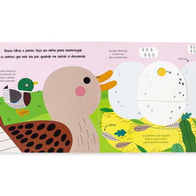 Ajuda a Natureza - Os Patos | Edicare