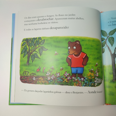 Vamos Plantar um Jardim de Borboletas | Jacarandá