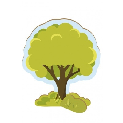 Origami: Create my Own Zoo | AVENIR