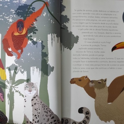 Biblioteca do Conhecimento 5: Terra | Lilliput