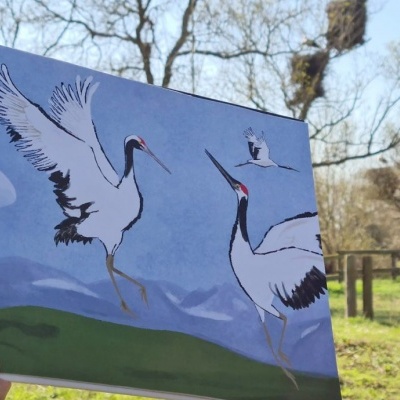 Tancho | Akiara Books