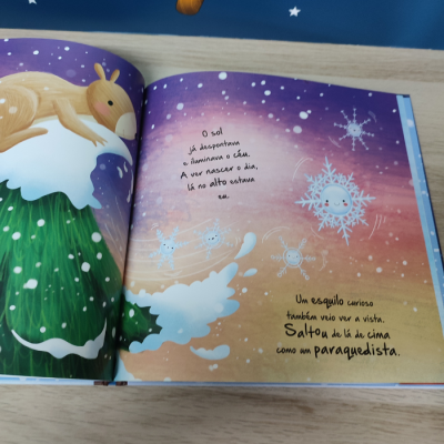 Ciclos da Natureza 7: A Viagem do Floco de Neve | Booksmile