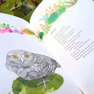 Uma Quinta | Akiara Books