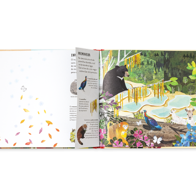 Estações | Edicare