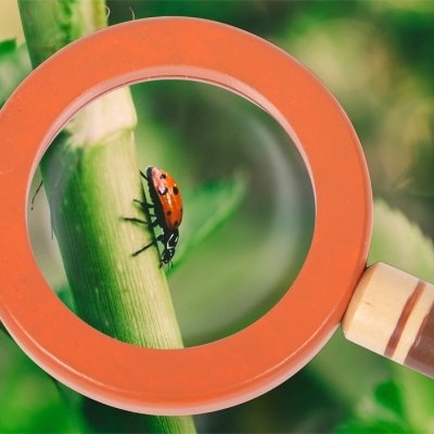 Cinto de Ferramentas do Explorador | Small Foot