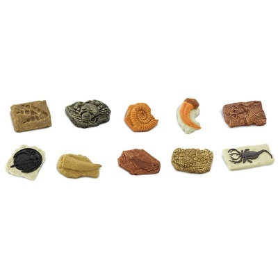 Toob Fósseis | Safari Ltd