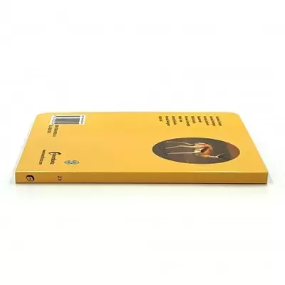 Os Animais Selvagens | Nowordbooks