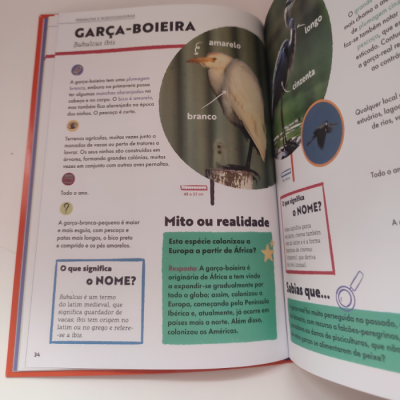 O Meu Guia de Aves | Booksmile