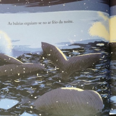 O Regresso da Baleia | Orfeu Mini