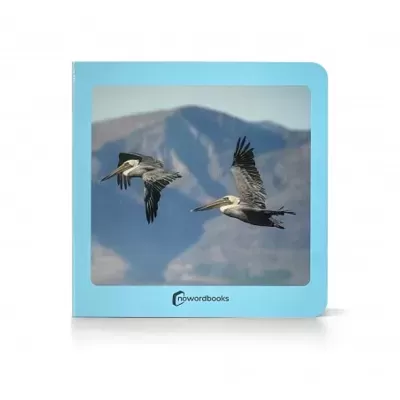 Pássaros | Nowordbooks