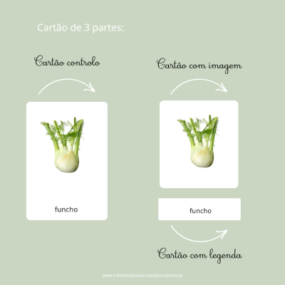 Cartões de 3 partes: Vegetais e Verduras