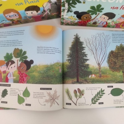 Livro infantil aberto com ilustrações de árvores e folhas coloridas e texto em português.