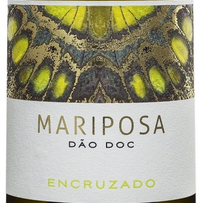 https://www.reserva86.pt/product/mariposa-encruzado https://www.reserva86.pt/product/mariposa-encruzado