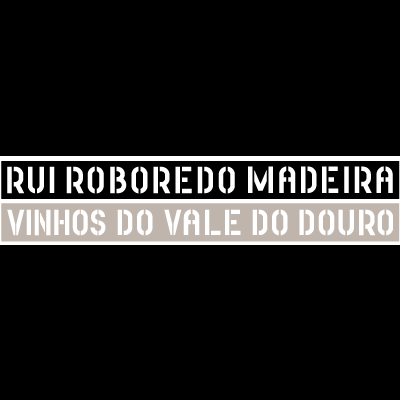 Rui Roboredo Madeira